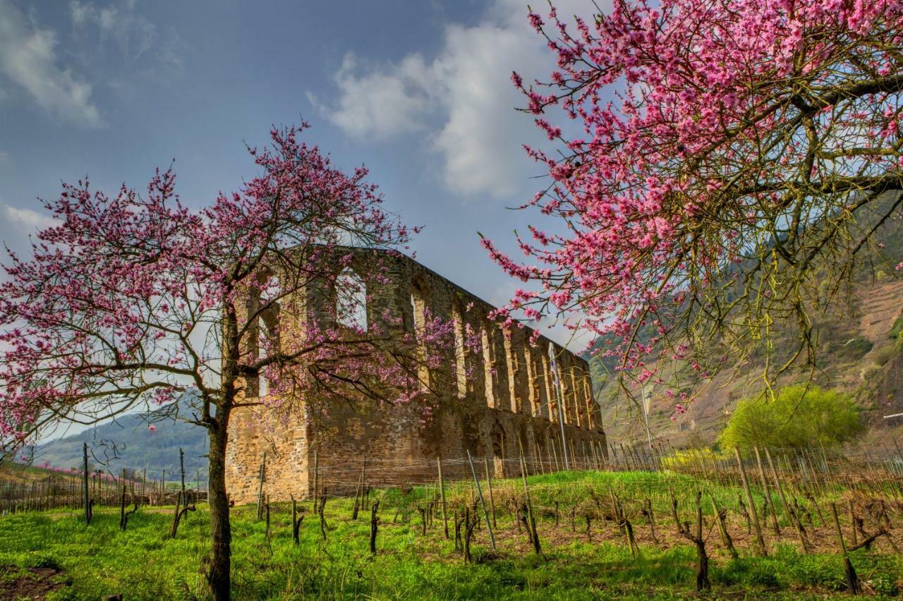 Haus Simon Daire Blankenrath Dış mekan fotoğraf